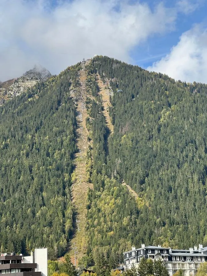 Cocon Au Coeur De Chamonix Avec Parking Gratuit Appartement 0*,  Frankrijk