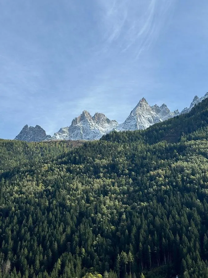 Cocon Au Coeur De Chamonix Avec Parking Gratuit Appartement