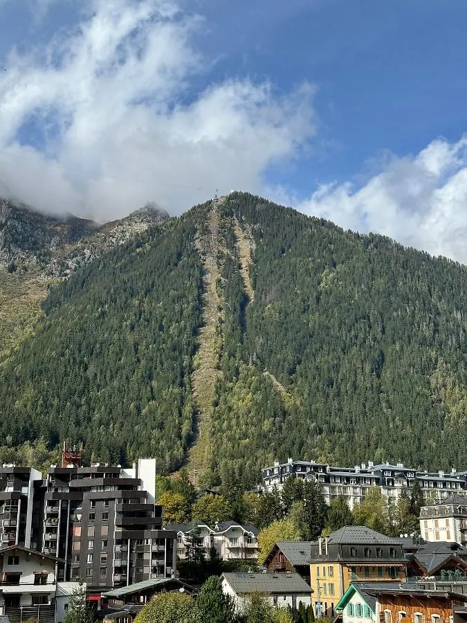 Cocon Au Coeur De Chamonix Avec Parking Gratuit Appartement Frankrijk